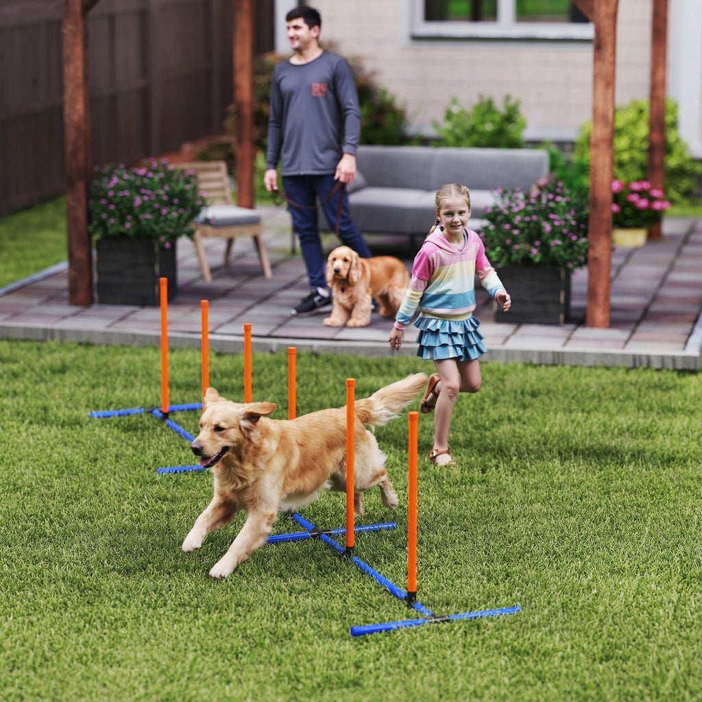 Agility-Trainingsset für Hunde, verstellbar