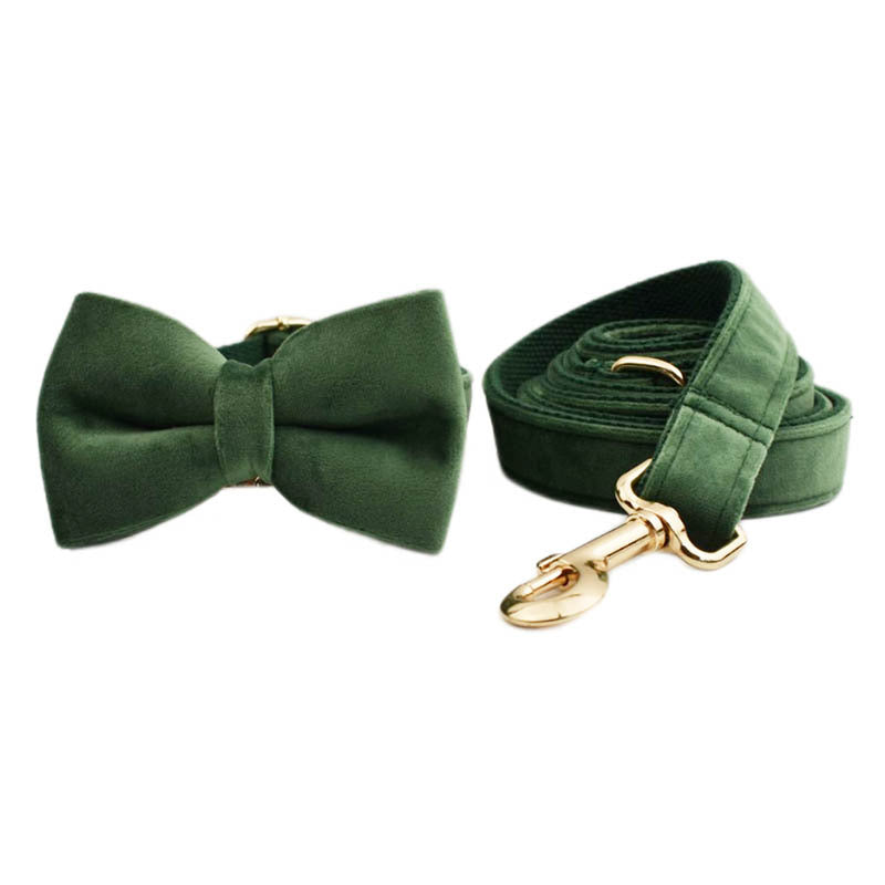 Samtiges Haustierhalsband mit Leine – Bild 12 | LuxeStyle