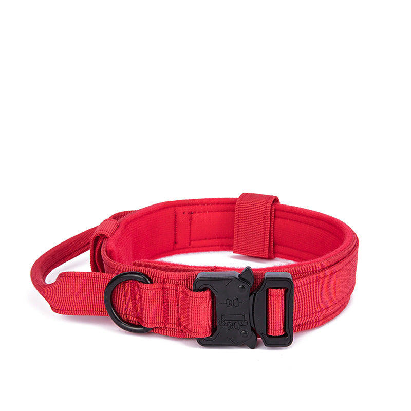 Hundekragen – Bild 1 | LuxeStyle