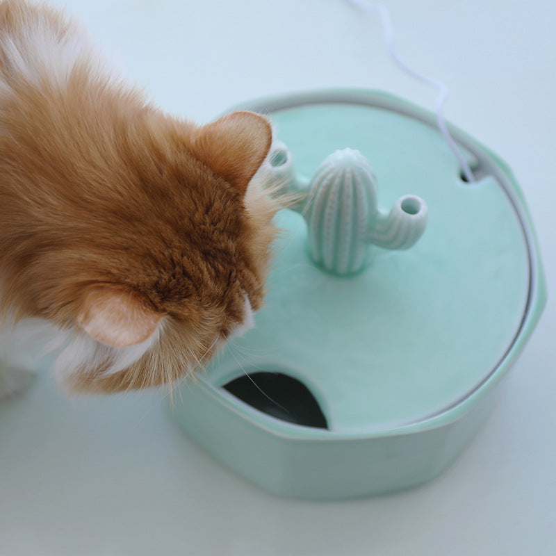 Keramik Trinkbrunnen Kaktus für Katzen – Bild 2 | LuxeStyle