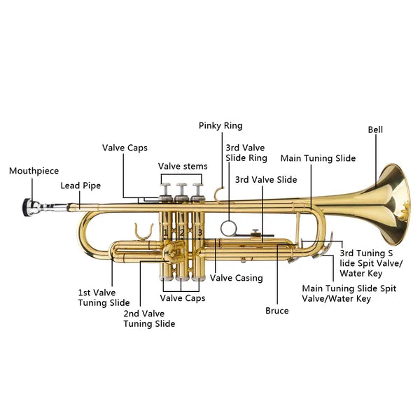 Trompeten-Handschuh-Set, Gold