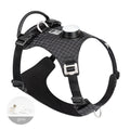 Hundegurt mit LED-Nachtlicht