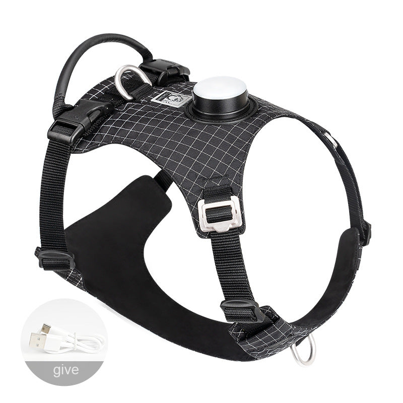 Hundegurt mit LED-Nachtlicht