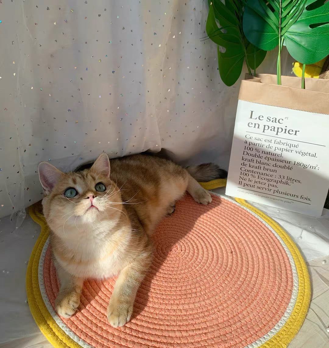 Kletterbaum Sisal Kratzbrett für Katzen