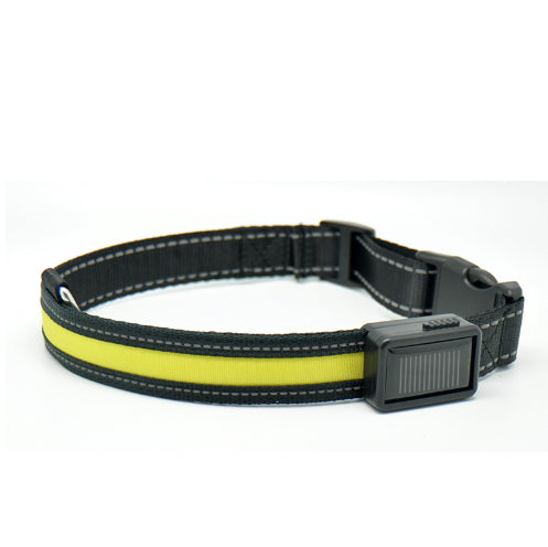 Leuchtendes Hundehalsband mit Solar- und USB-Ladefunktion – Bild 9 | LuxeStyle