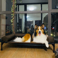 Hundebett mit entfernbarer, waschbarer wasserdichter Randumrandung