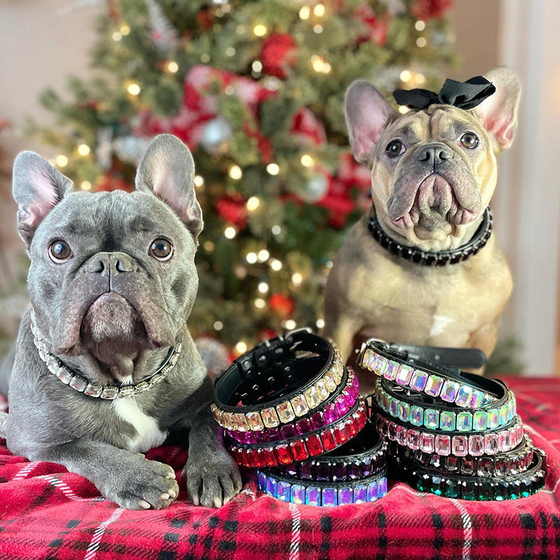PU-Halsband für Hunde und Katzen – Bild 4 | LuxeStyle