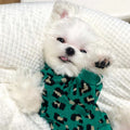 Leoparden-Strickpullover für kleine Hunde – Bild 2 | LuxeStyle