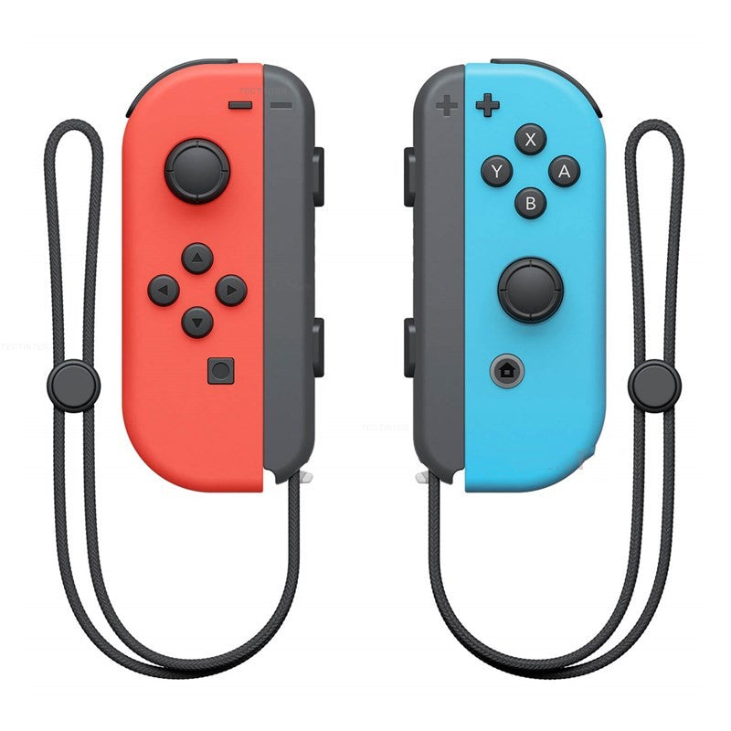 NS Dual Gamepad mit Handschlaufe