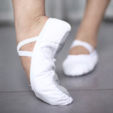 Farbe: Weiss