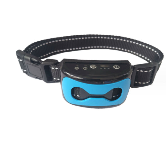 Hundestraining-Kollektiv – Bild 6 | LuxeStyle