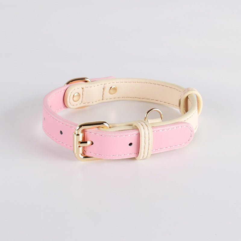 Lederhalsband für kleine bis mittelgrosse Hunde