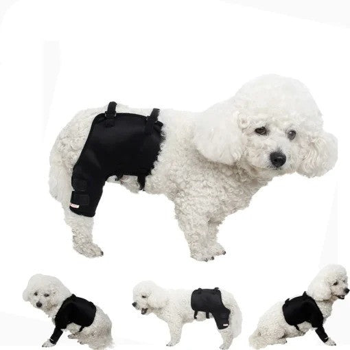 Hund Knie- und Beinschützer für draussen | LuxeStyle