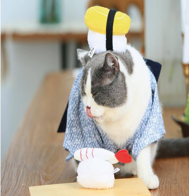 Sushi Catnip Spielzeug für Katzen