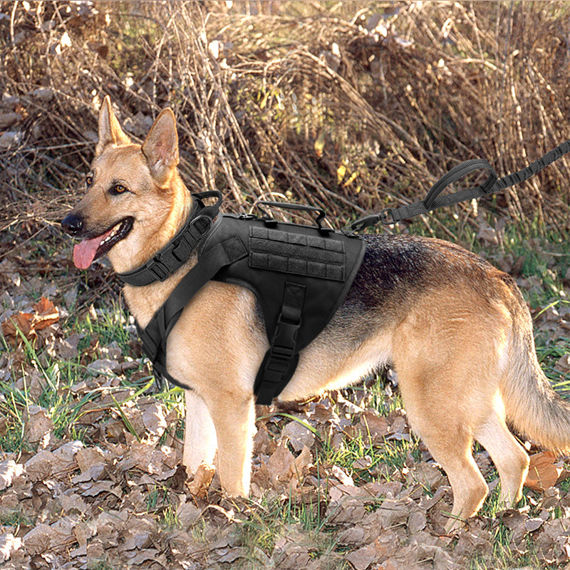 Taktisches K9 Brustgeschirr für Hunde – Bild 3 | LuxeStyle