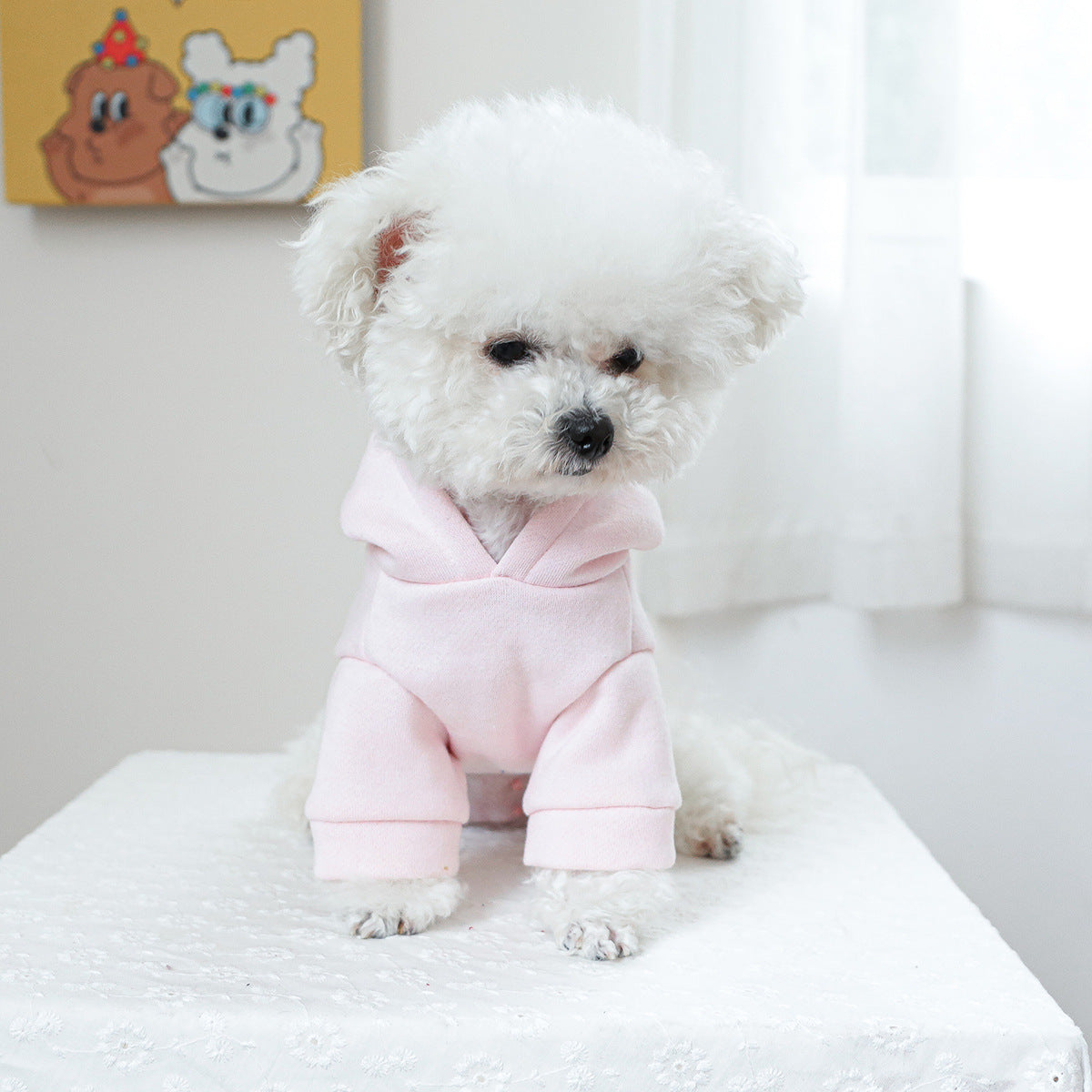 Kapuzenpullover für Hunde und Katzen – Bild 3 | LuxeStyle