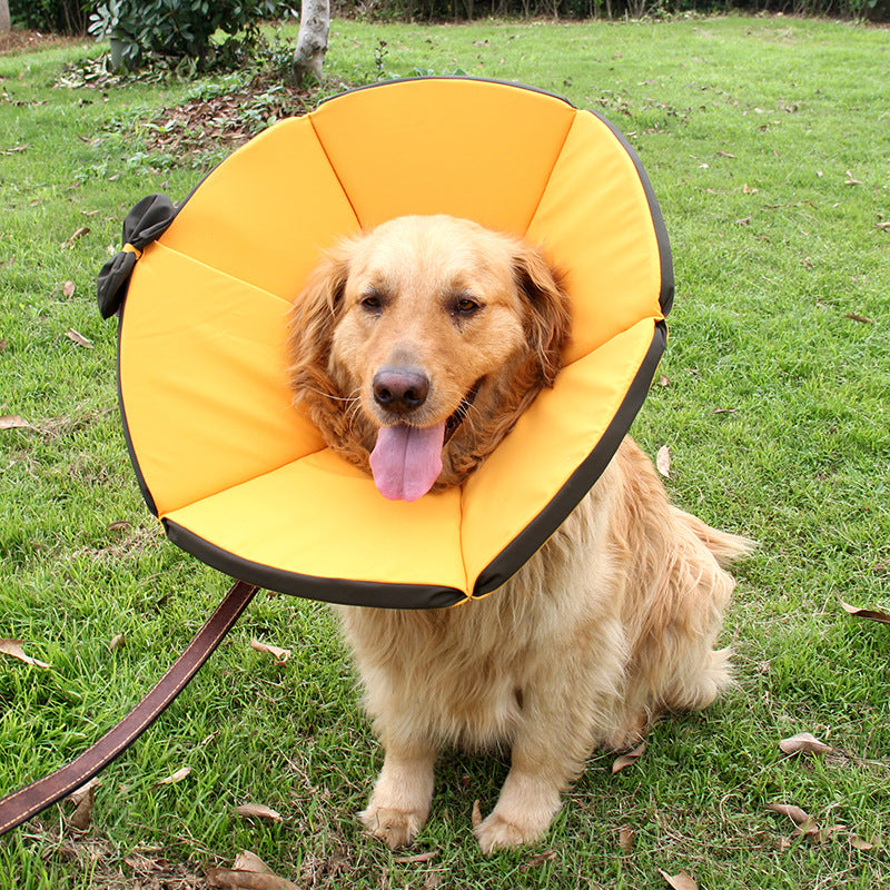 Hundehalskrause für die Genesung – Bild 3 | LuxeStyle