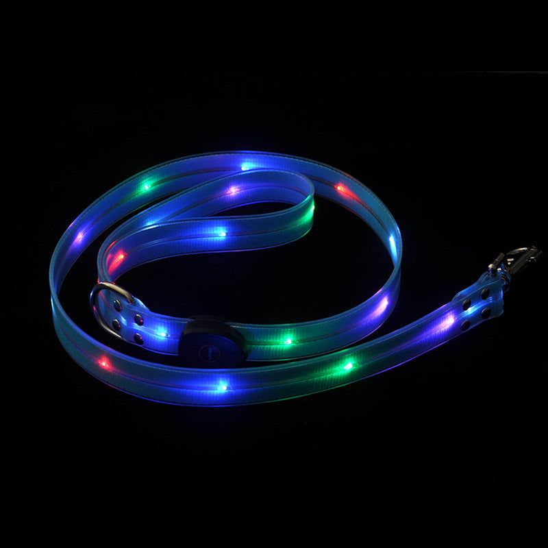 Leuchtendes Hundehalsband – Bild 6 | LuxeStyle