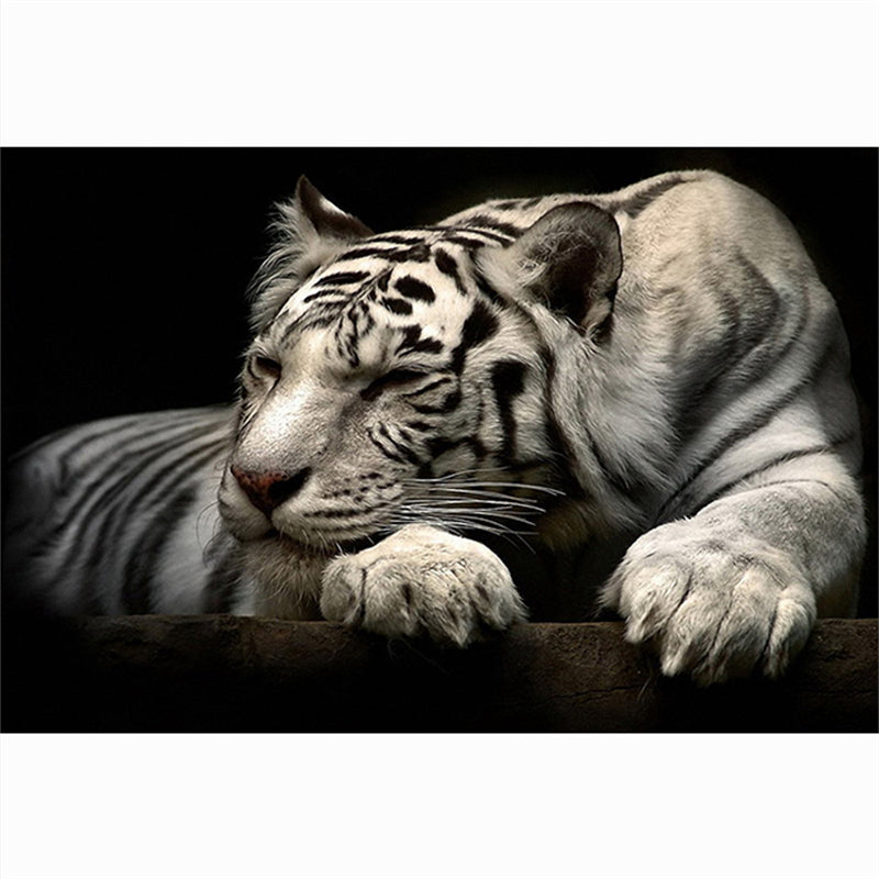 Leinwandbild Tigerkopf Schwarz-Weiss – Bild 5 | LuxeStyle