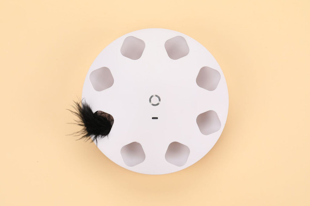 Fliegendes Feder Spielzeug – Bild 2 | LuxeStyle