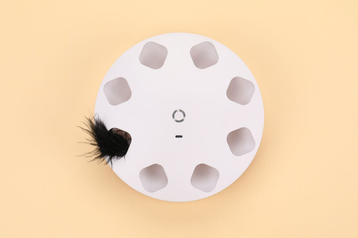 Fliegendes Feder Spielzeug – Bild 2 | LuxeStyle