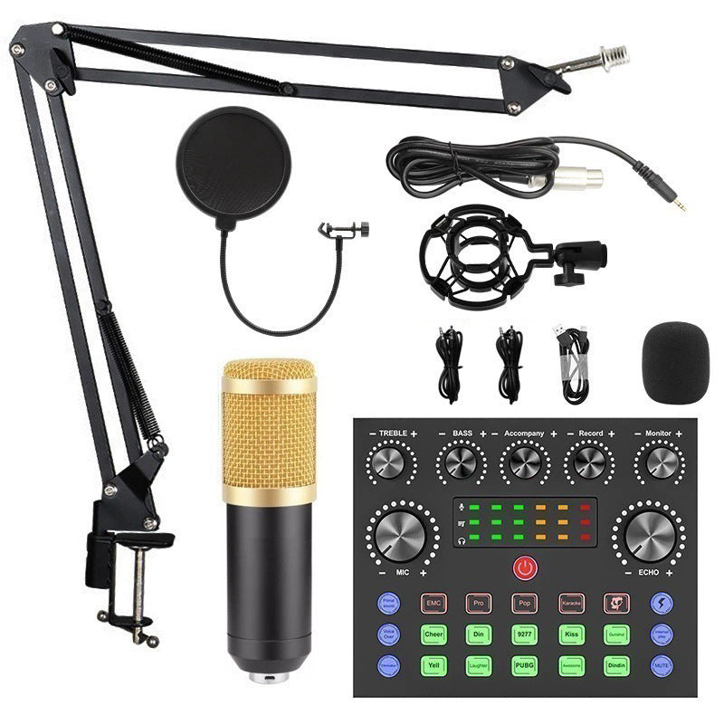 Kondensatormikrofon V8S mit Stimmwandler