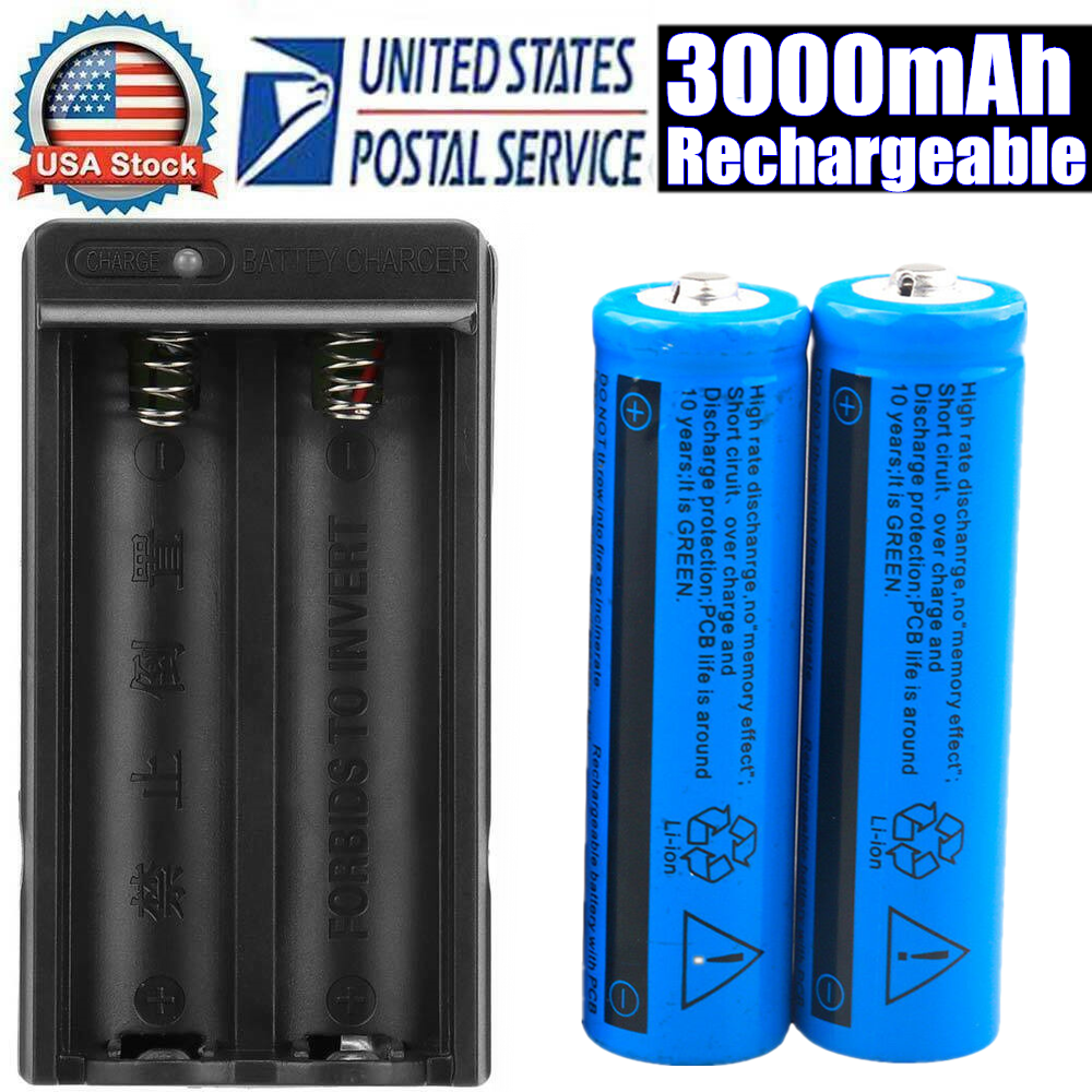 Li-ion Akku & Ladegerät Set 3000mAh