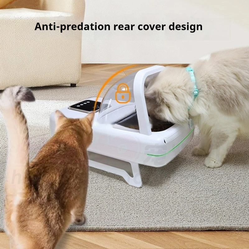 Automatischer Futterspender für Katzen
