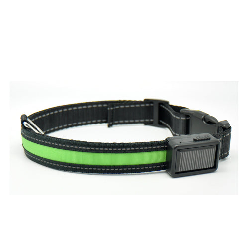 Leuchtendes Hundehalsband mit Solar- und USB-Ladefunktion – Bild 17 | LuxeStyle