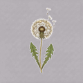 Sticker «Flower Dandelion»