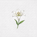 Sticker «Flower Lily»