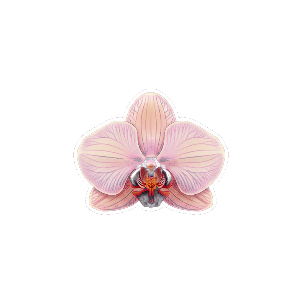 Sticker «Flower Orchid»