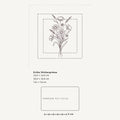 Grössenvergleich – Sticker «Floral» · 1 Stück