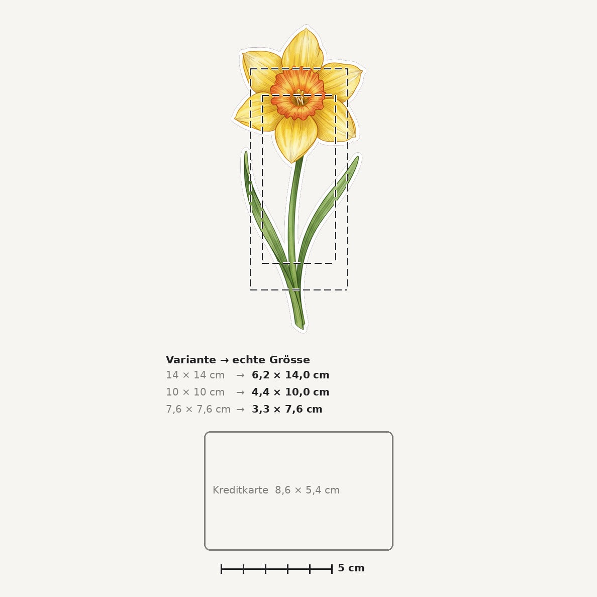 Grössenvergleich – Sticker «Flower Daffodil» · 1 Stück