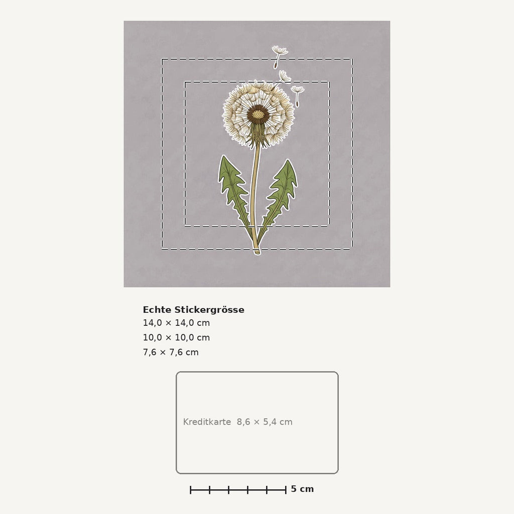 Grössenvergleich – Sticker «Flower Dandelion» · 1 Stück