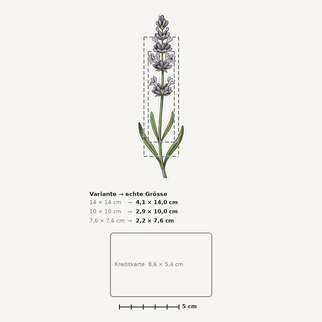 Grössenvergleich – Sticker «Flower Lavender» · 1 Stück