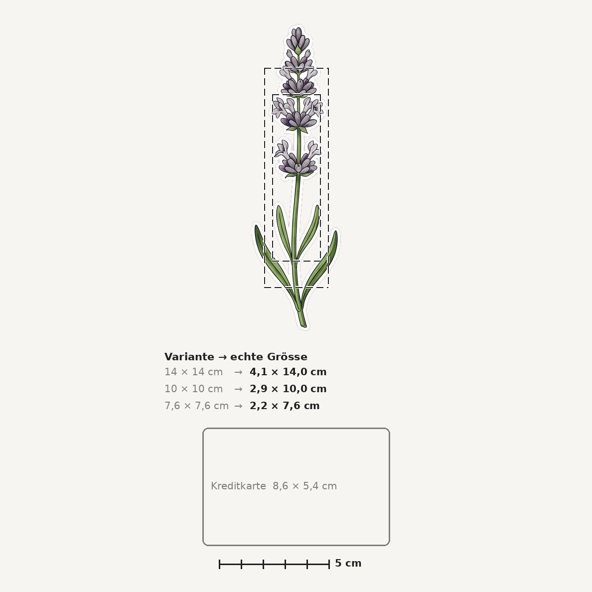 Grössenvergleich – Sticker «Flower Lavender» · 1 Stück