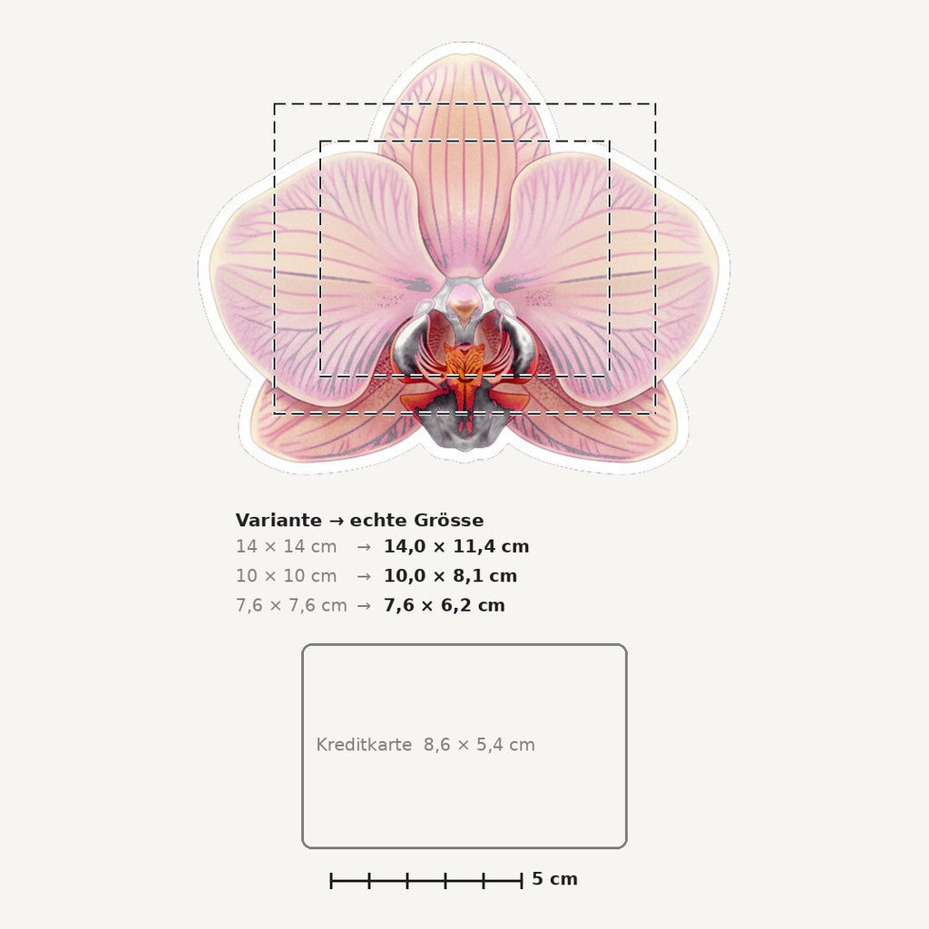 Grössenvergleich – Sticker «Flower Orchid» · 1 Stück