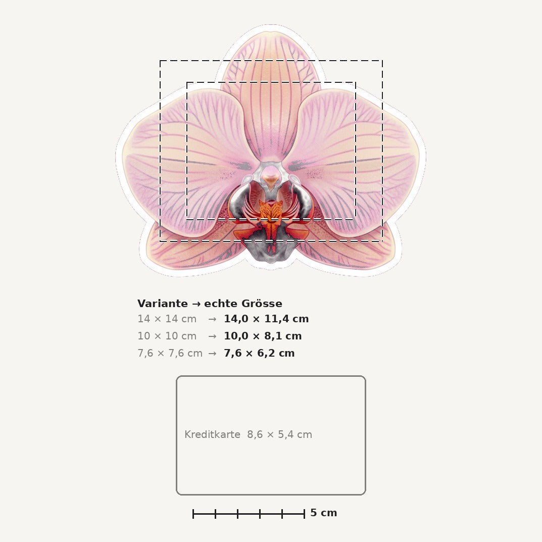 Grössenvergleich – Sticker «Flower Orchid» · 1 Stück