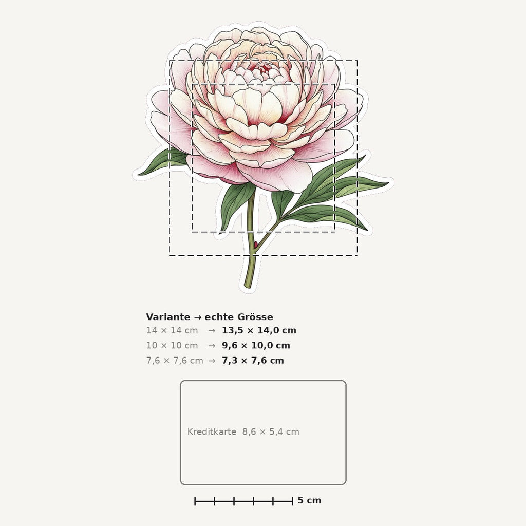 Grössenvergleich – Sticker «Flower Peony» · 1 Stück