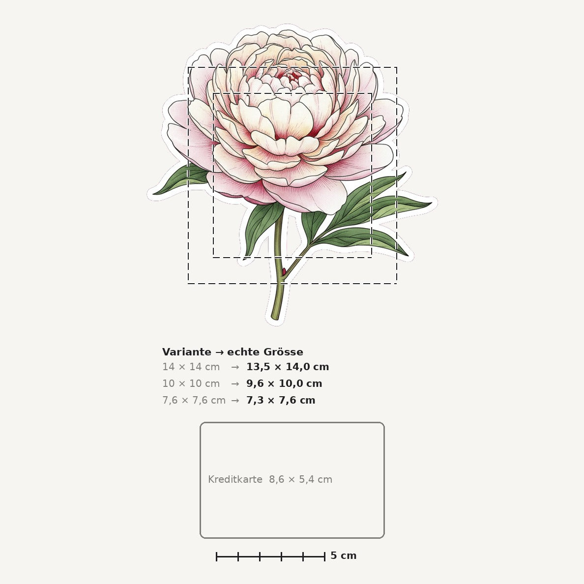 Grössenvergleich – Sticker «Flower Peony» · 1 Stück