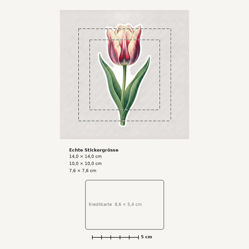 Grössenvergleich – Sticker «Flower Tulip» · 1 Stück