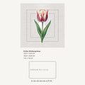 Grössenvergleich – Sticker «Flower Tulip» · 1 Stück