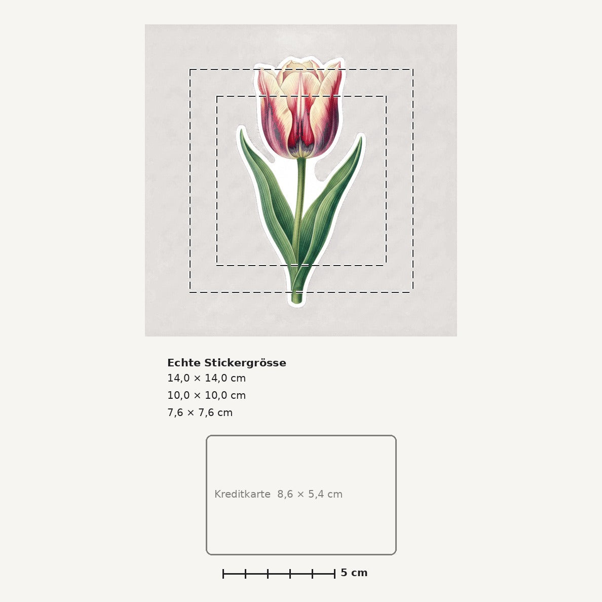 Grössenvergleich – Sticker «Flower Tulip» · 1 Stück