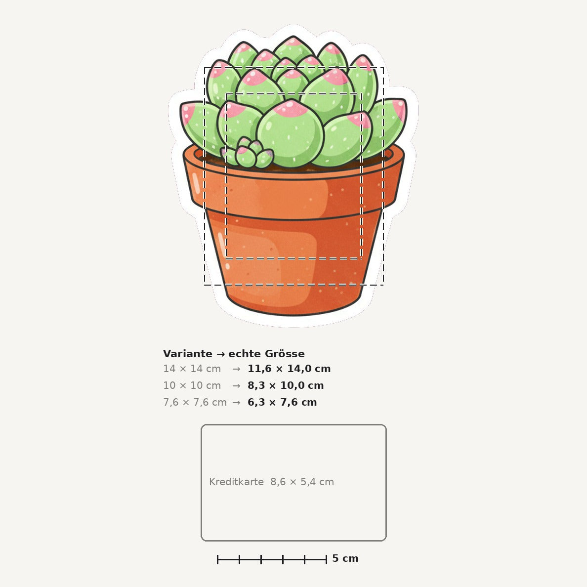 Grössenvergleich – Sticker «Succulent» · 1 Stück