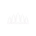 Sticker «Pine Forest»