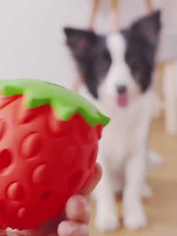 Zahnpflege Spielball für Hunde