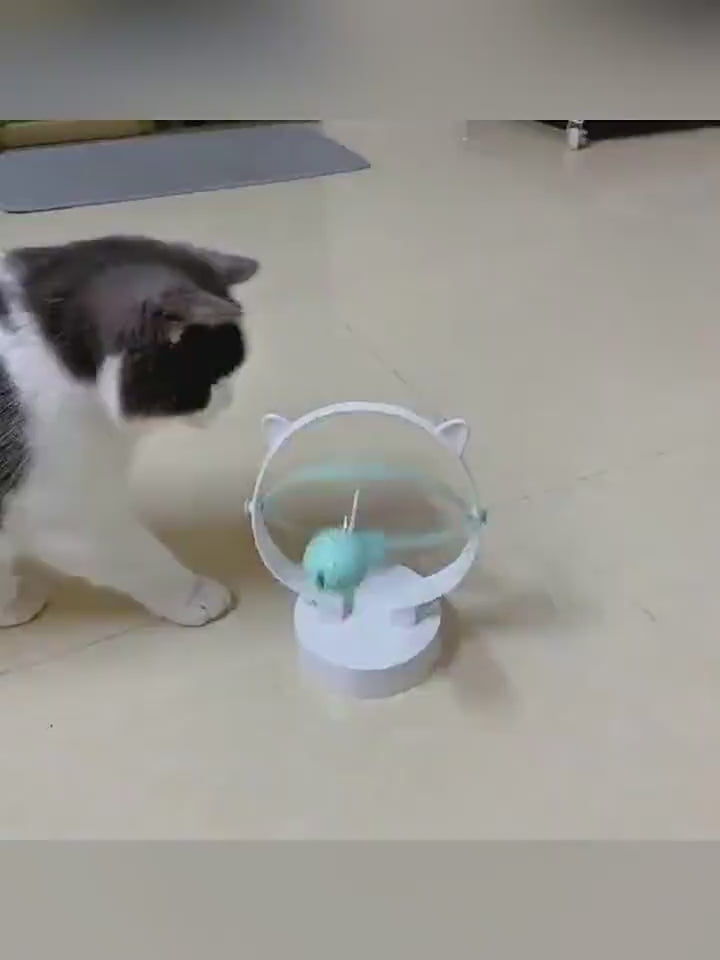 Schaukelspielzeug für Katzen mit Bällen