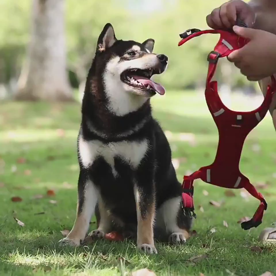 Reflektierendes Hunde-Brustgeschirr mit Leine
