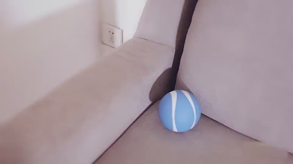 Smart Hundespielzeug